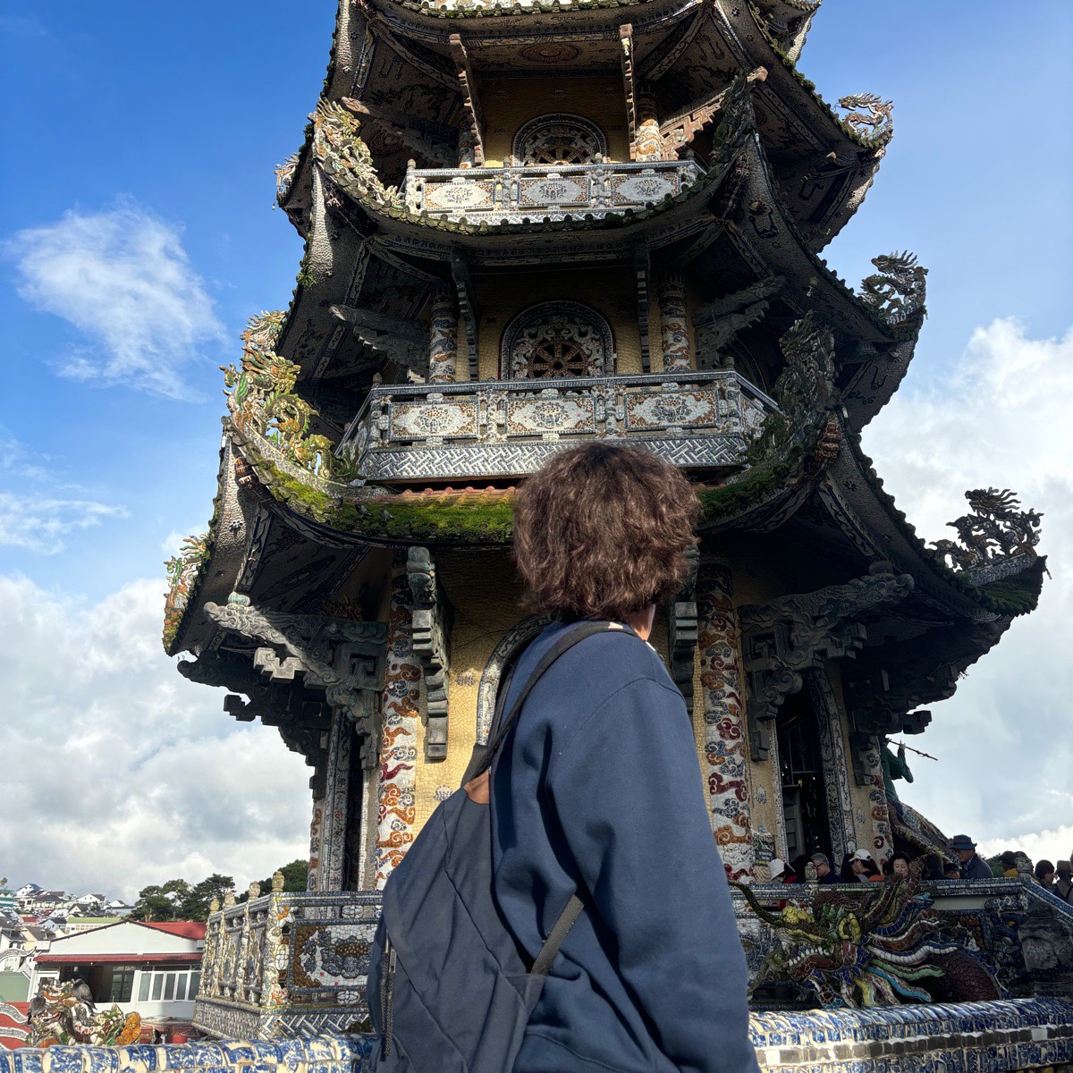 Network member avatar