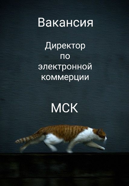 #вакансия: Директор по электронной коммерции (E-commerce Director)
КОМПАНИЯ: Крупная компания, активно развивающий онлайн-продажи и digital-направление
ЛОКАЦИЯ: Москва (гибрид)
ЗАДАЧИ:
•  Разработка и... | Сетка — социальная сеть от hh.ru