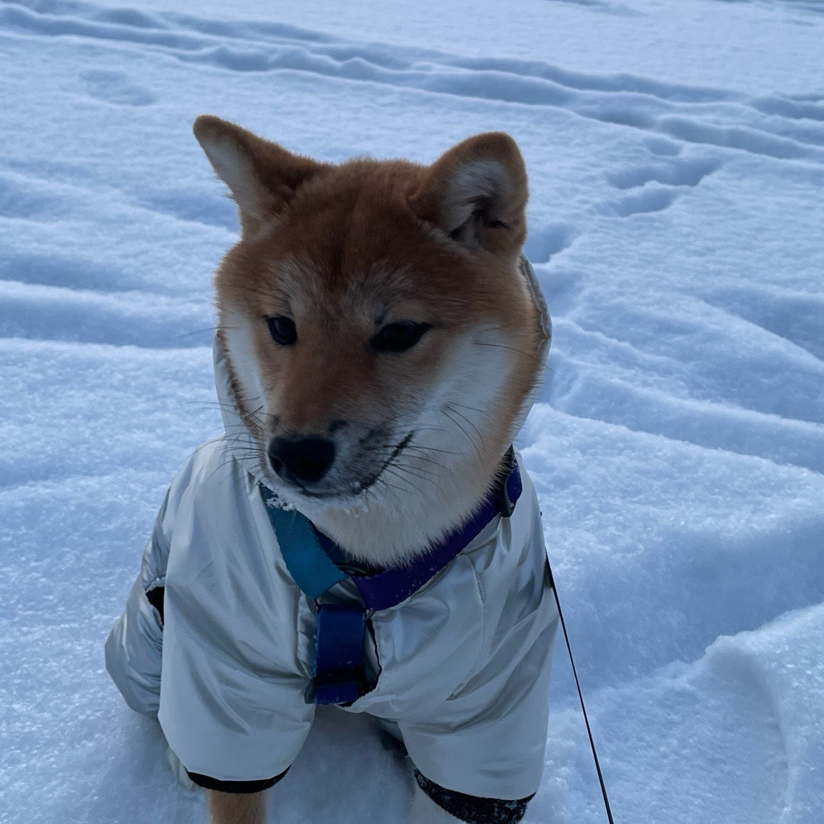 Владислав Слабых