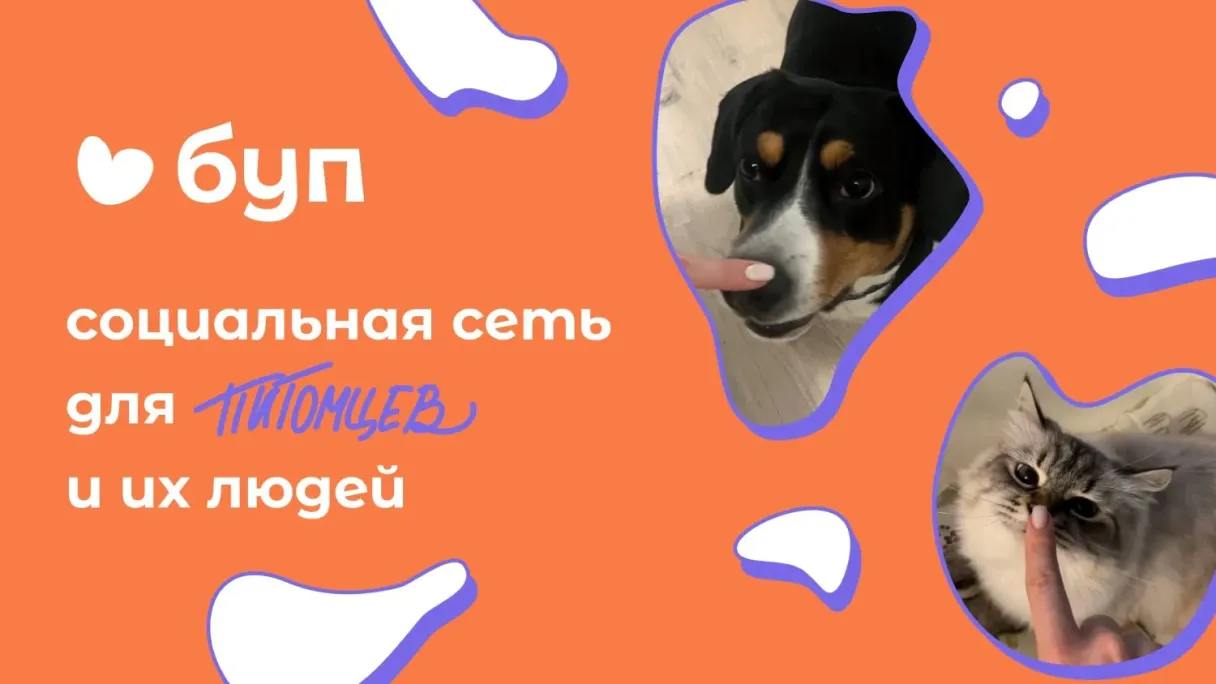 «Буп»
Для котиков появилась отдельная социальная сеть под названием «Буп» | Сетка — социальная сеть от hh.ru