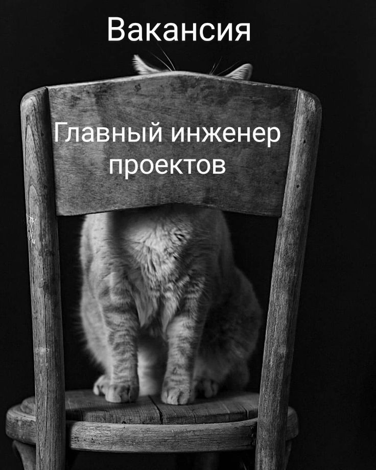 #вакансия #ГИП #КРТ #Москва
В компанию - один из лидеров девелоперов России
Рассматриваем Главного инженера проектов 
Задачи:
Комплексное управление разработкой проектной документации, сопровождение С... | Сетка — социальная сеть от hh.ru