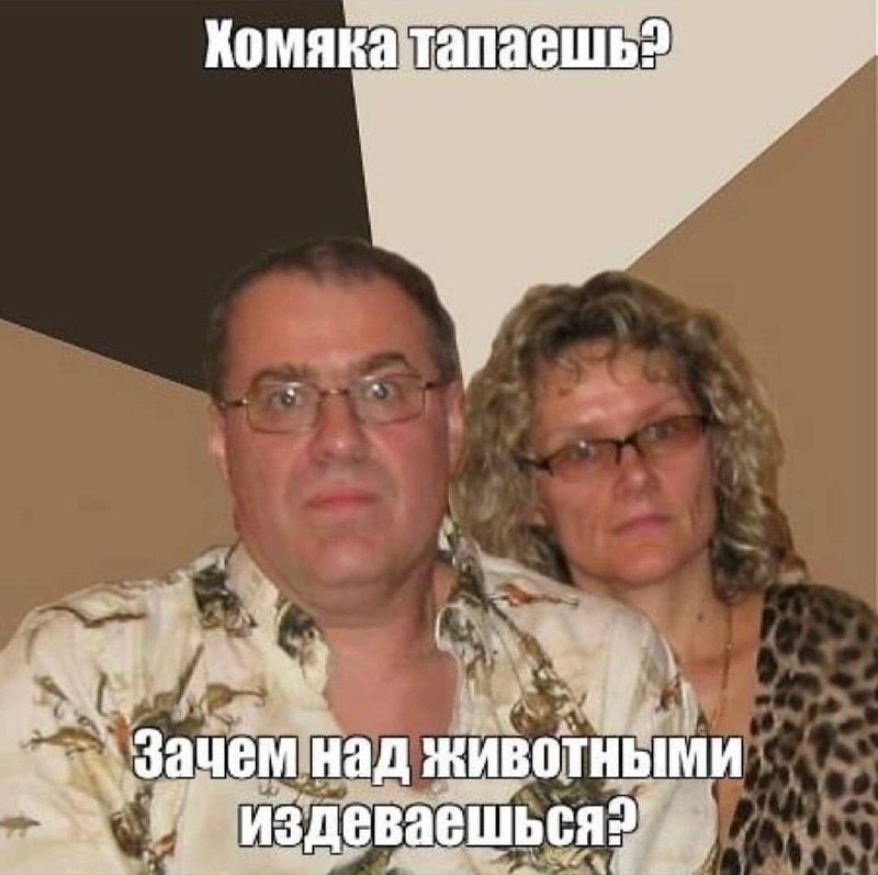 «Пресвятые джигурдинушки». Парень вспомнил все главные мемы начала 2010-х и показал, как бы они выглядели сейчас.
Миллениалы в хлам. | Сетка — социальная сеть от hh.ru