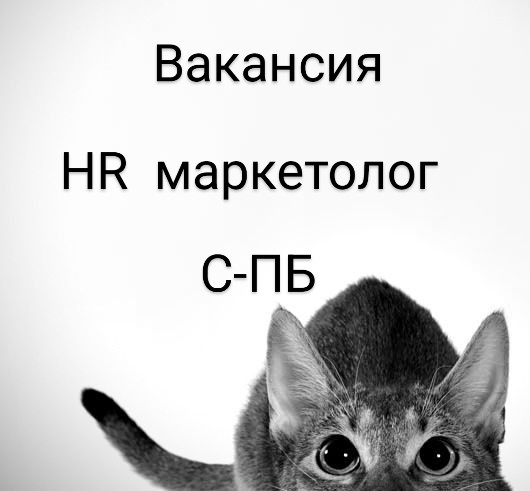 #вакансия #офис #Спб #маркетолог #HR#бренд #развитиебренда #digital  
📍HR маркетолог (развитие внешнего HR бренда)  
📎Город: Санкт- Петербург
📎Компания: Монополия
📎Формат работы: full time, офис  
«Мо... | Сетка — социальная сеть от hh.ru