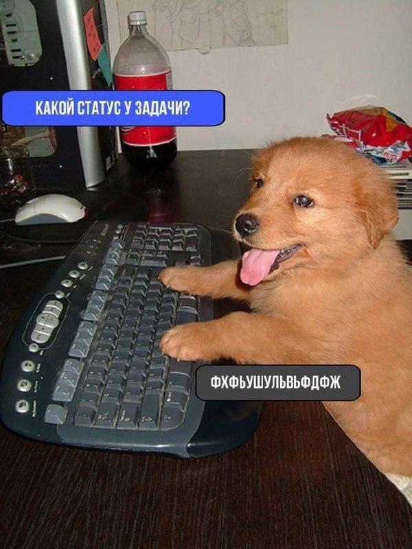 Взвщвзажсд
#IT
😂 Твой Пакет Мемов
🛍 Другие каналы | Сетка — социальная сеть от hh.ru