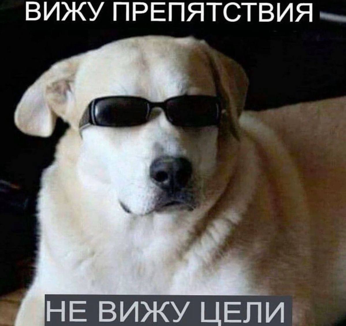 Какой мем описывает наставничество второкурсников?😅 | Сетка — социальная сеть от hh.ru