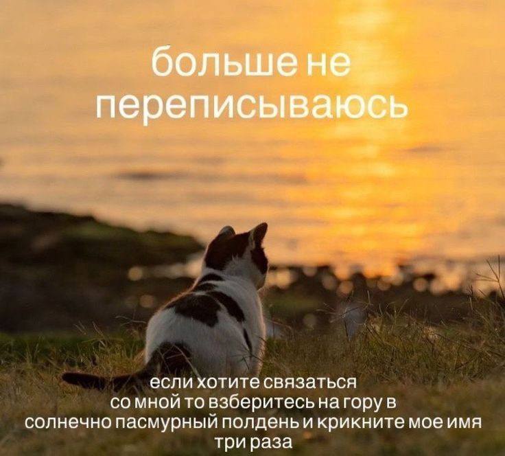 Какой мем описывает наставничество второкурсников?😅 | Сетка — социальная сеть от hh.ru