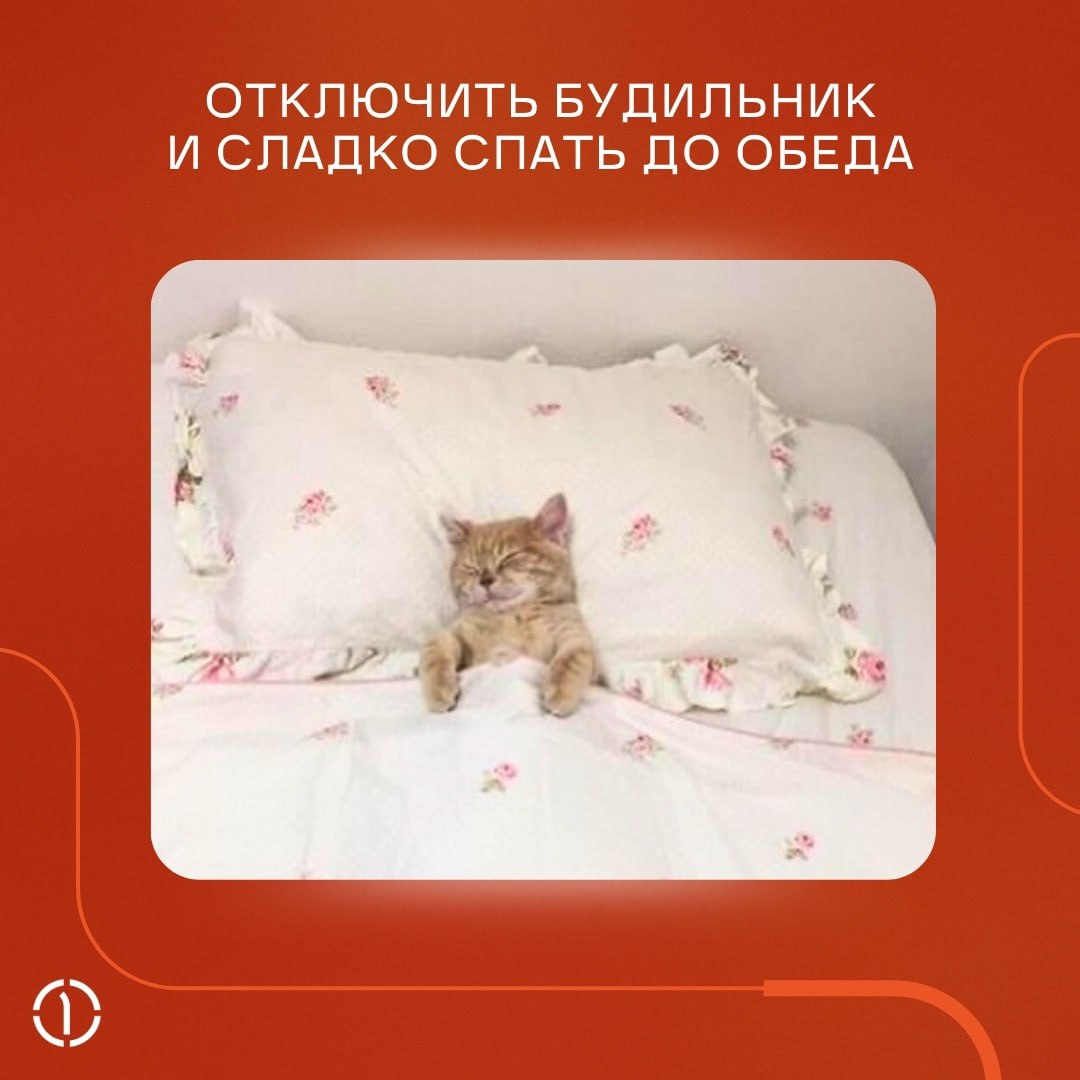 А ничо, что уже пятница, и пора откладывать рабочие дела в сторону?
Если вы ещё не придумали, чем заняться в выходные, прислушайтесь к котикам, они-то точно КМС по отдыху | Сетка — социальная сеть от hh.ru