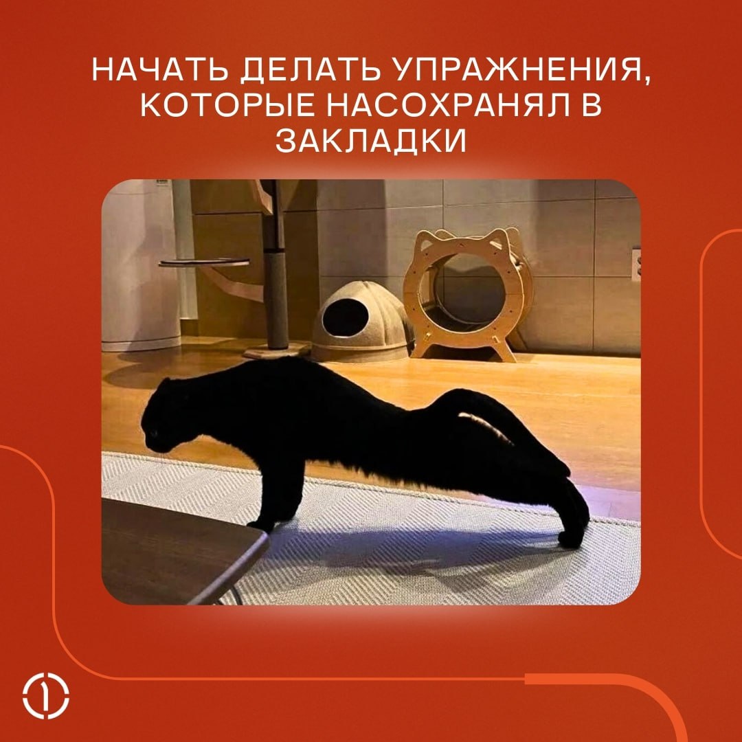 А ничо, что уже пятница, и пора откладывать рабочие дела в сторону?
Если вы ещё не придумали, чем заняться в выходные, прислушайтесь к котикам, они-то точно КМС по отдыху | Сетка — социальная сеть от hh.ru