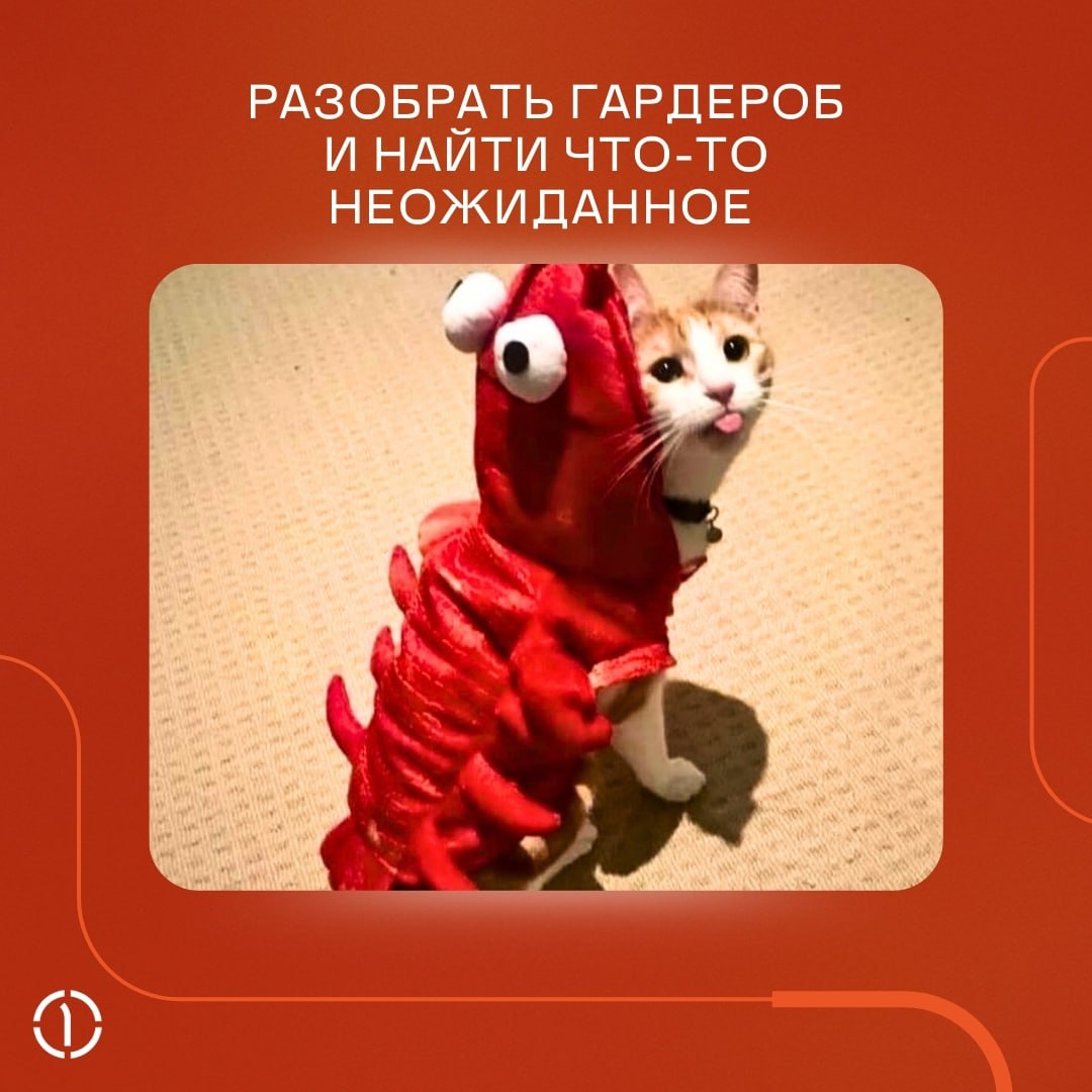 А ничо, что уже пятница, и пора откладывать рабочие дела в сторону?
Если вы ещё не придумали, чем заняться в выходные, прислушайтесь к котикам, они-то точно КМС по отдыху | Сетка — социальная сеть от hh.ru