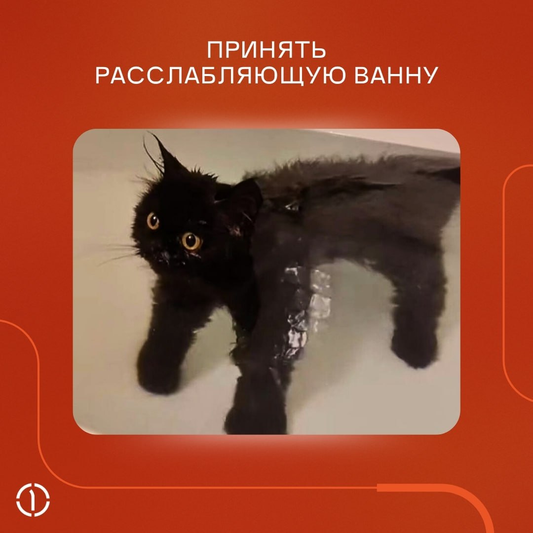 А ничо, что уже пятница, и пора откладывать рабочие дела в сторону?
Если вы ещё не придумали, чем заняться в выходные, прислушайтесь к котикам, они-то точно КМС по отдыху | Сетка — социальная сеть от hh.ru