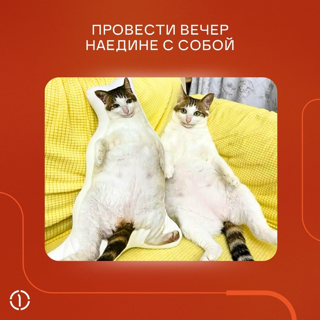 А ничо, что уже пятница, и пора откладывать рабочие дела в сторону?
Если вы ещё не придумали, чем заняться в выходные, прислушайтесь к котикам, они-то точно КМС по отдыху | Сетка — социальная сеть от hh.ru