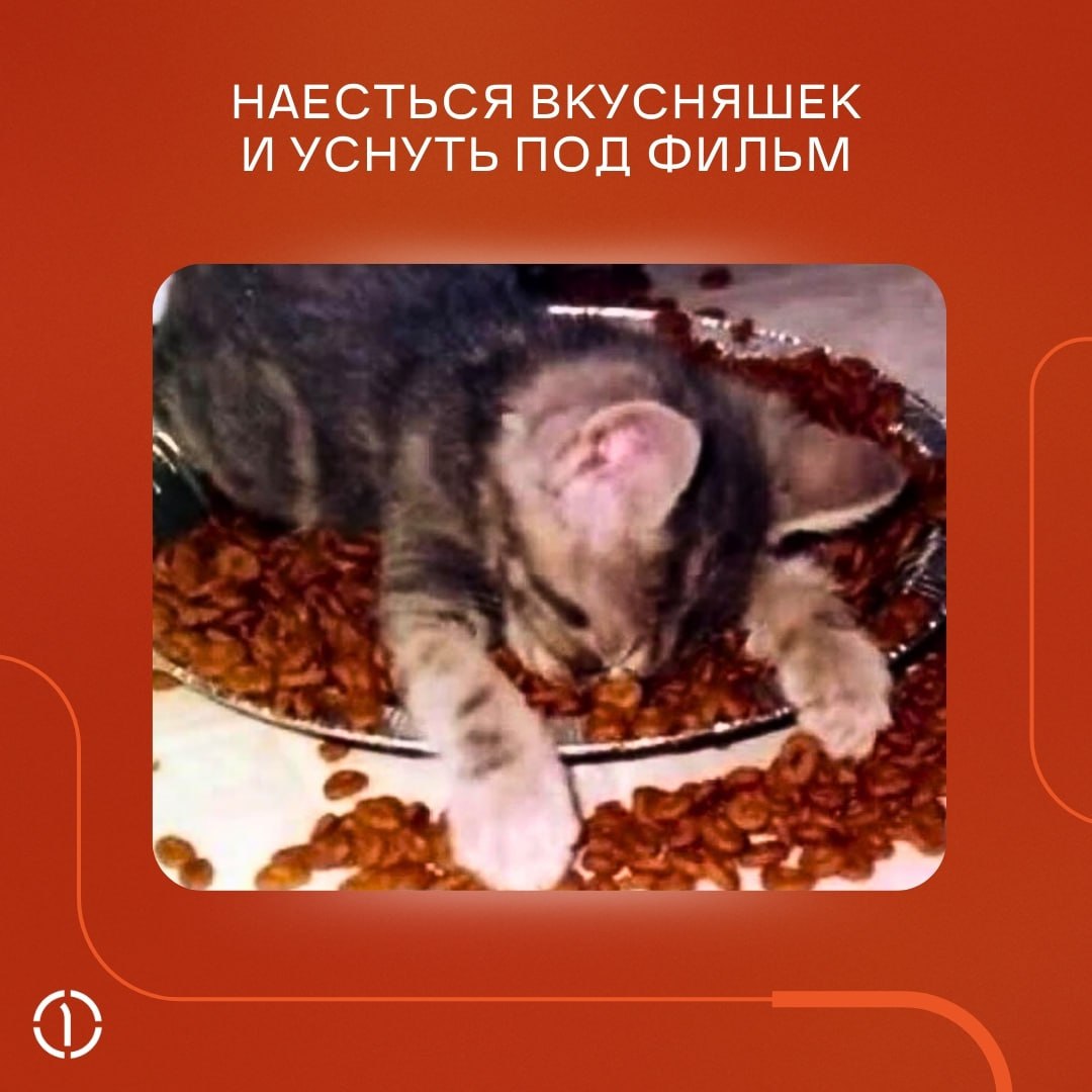 А ничо, что уже пятница, и пора откладывать рабочие дела в сторону?
Если вы ещё не придумали, чем заняться в выходные, прислушайтесь к котикам, они-то точно КМС по отдыху | Сетка — социальная сеть от hh.ru