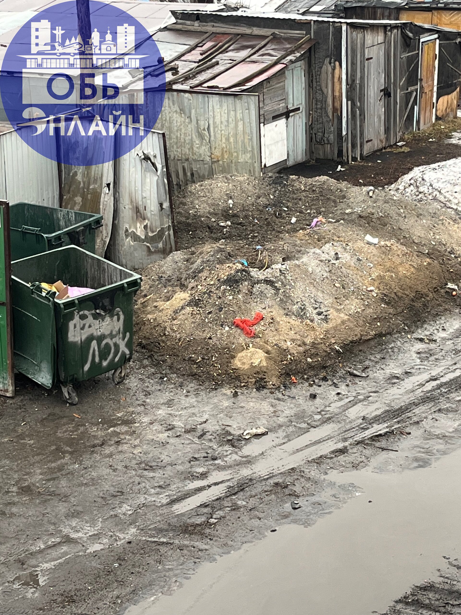 ↗ Здравствуйте уважаемый ук тех строй !Скажите пожалуйста ,когда на улице Шевченко будет проходить вывоз залы. | Сетка — социальная сеть от hh.ru
