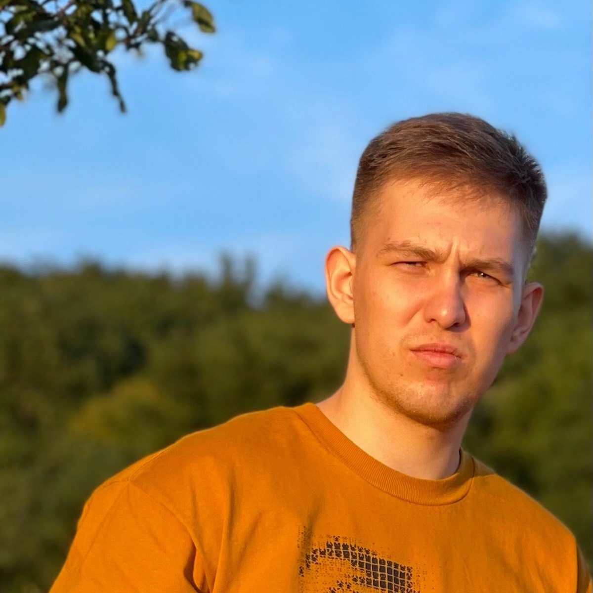 Вячеслав Никулин