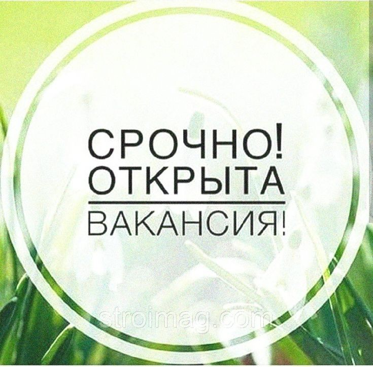 В наш онлайн- проект нужен менеджер, который готов работать с входящими заявками.
Нам нужен ответственный специалист, который хочет заработать | Сетка — социальная сеть от hh.ru