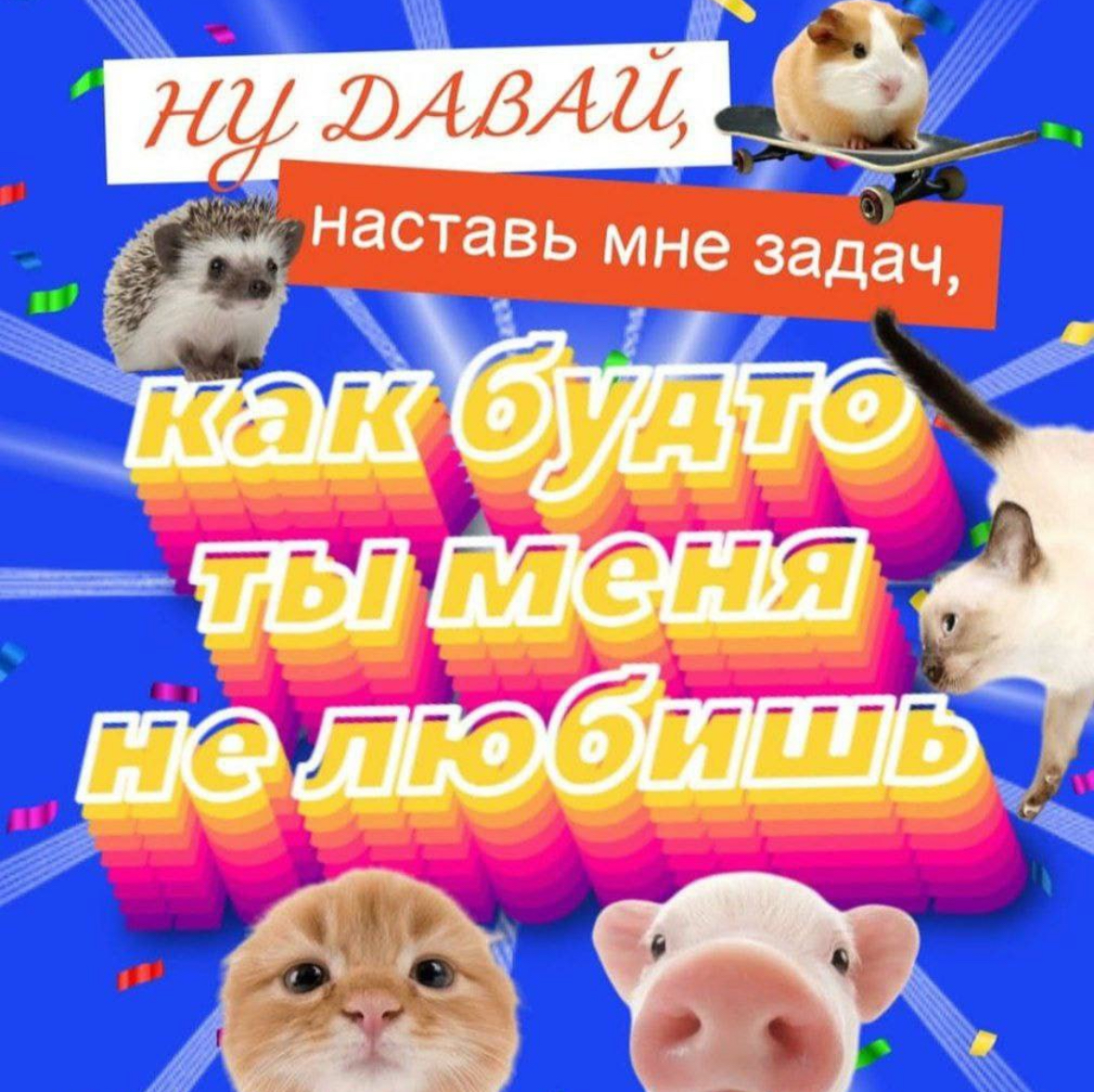 Вот вам дизайн-мем на выходные | Сетка — социальная сеть от hh.ru