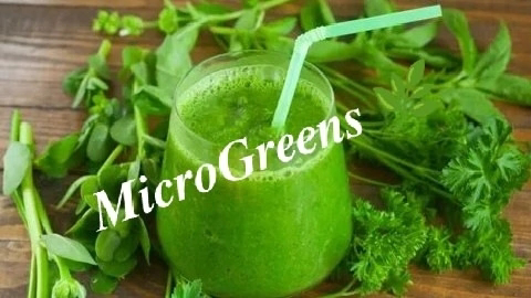 Микрозелень и профессиональный спорт | Сетка — социальная сеть от hh.ru