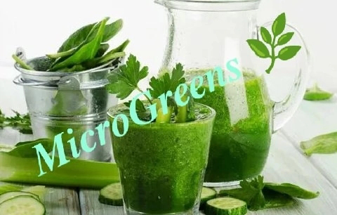 Микрозелень и профессиональный спорт | Сетка — социальная сеть от hh.ru