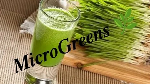 Микрозелень и профессиональный спорт | Сетка — социальная сеть от hh.ru