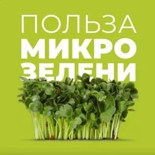 Микрозелень | Сетка — социальная сеть от hh.ru