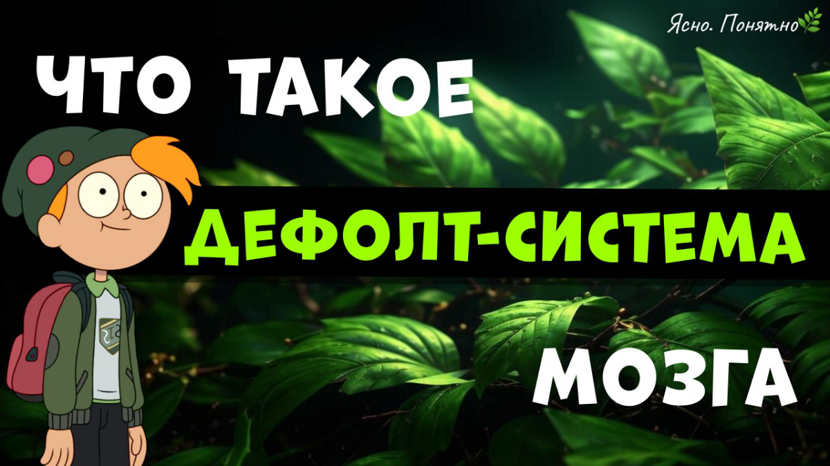 Просто о сложном: Дефолт- -система-мозга (DMN) | Сетка — социальная сеть от hh.ru