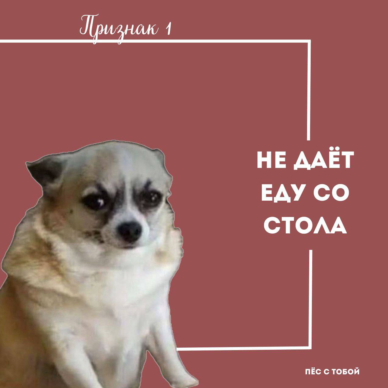 5 признаков арбу🍉зивного хозяина:
✅ Чек-лист 🍿🙀
Ставь 💯 если все пункты сошлись | Сетка — социальная сеть от hh.ru