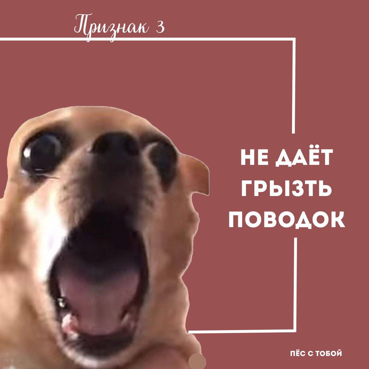 5 признаков арбу🍉зивного хозяина:
✅ Чек-лист 🍿🙀
Ставь 💯 если все пункты сошлись | Сетка — социальная сеть от hh.ru