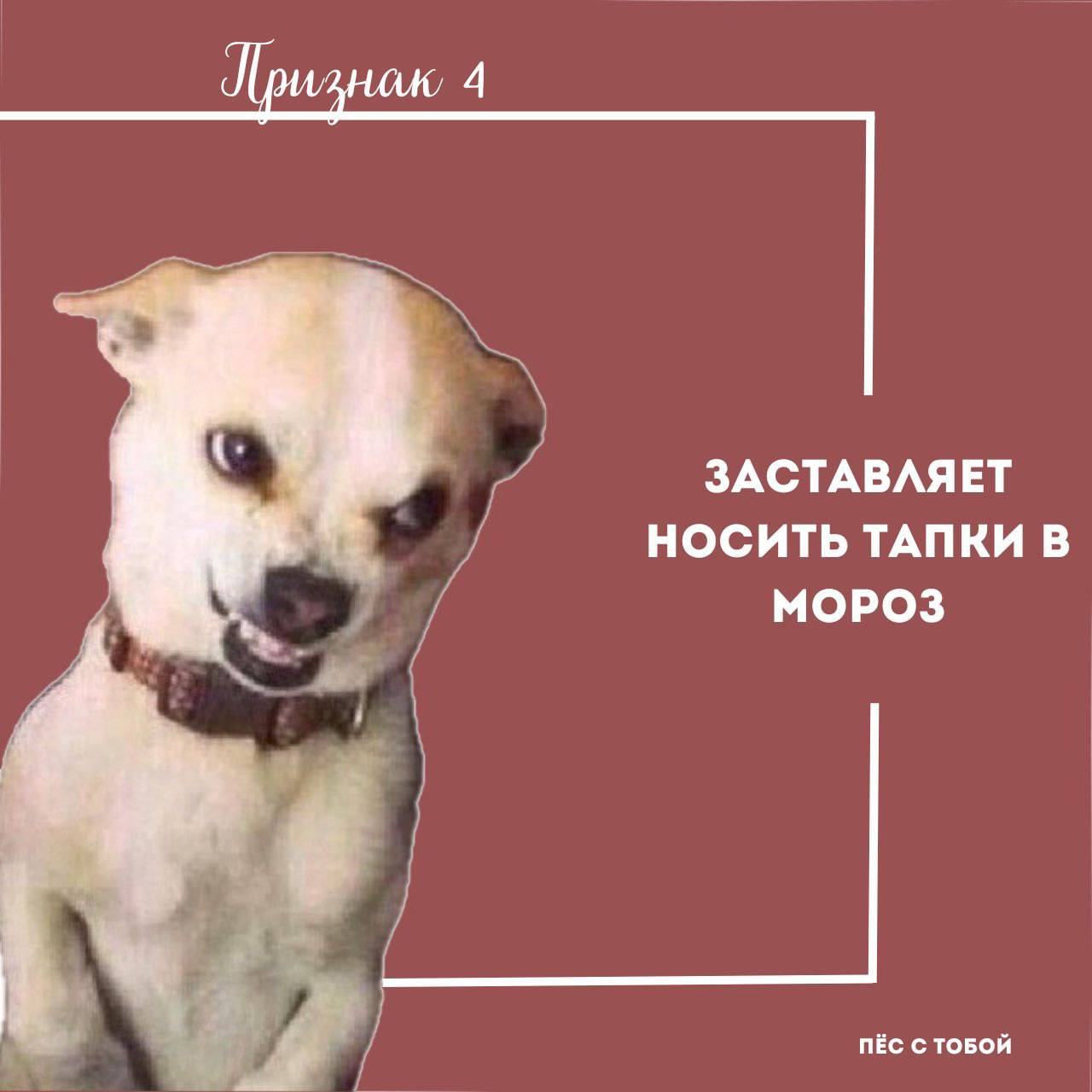 5 признаков арбу🍉зивного хозяина:
✅ Чек-лист 🍿🙀
Ставь 💯 если все пункты сошлись | Сетка — социальная сеть от hh.ru