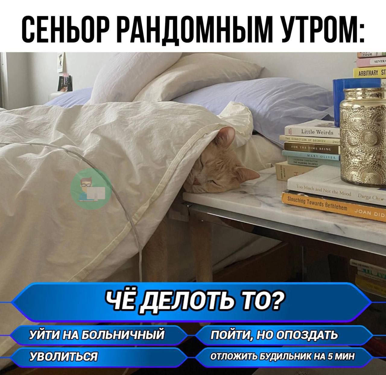 Немного мемов вам 😀 | Сетка — социальная сеть от hh.ru