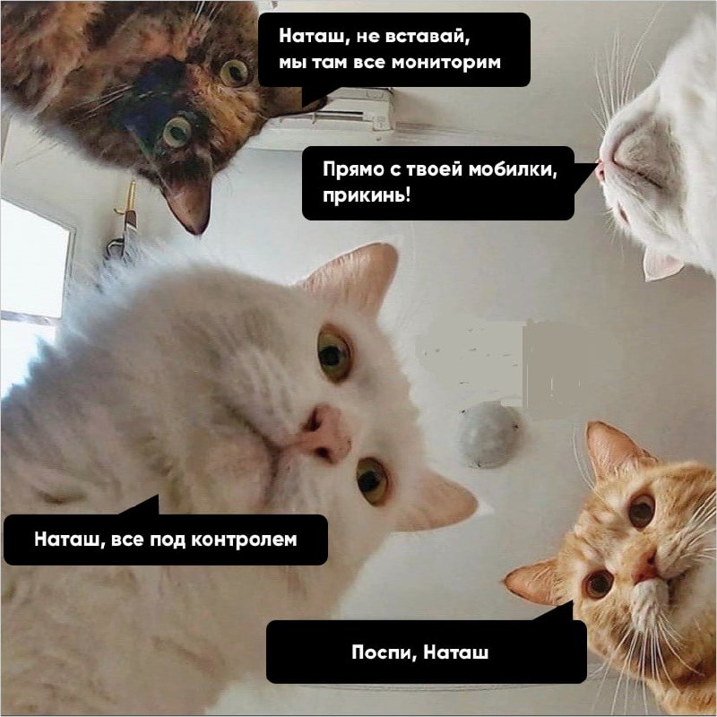 Когда объединил Operator и Manus | Сетка — социальная сеть от hh.ru