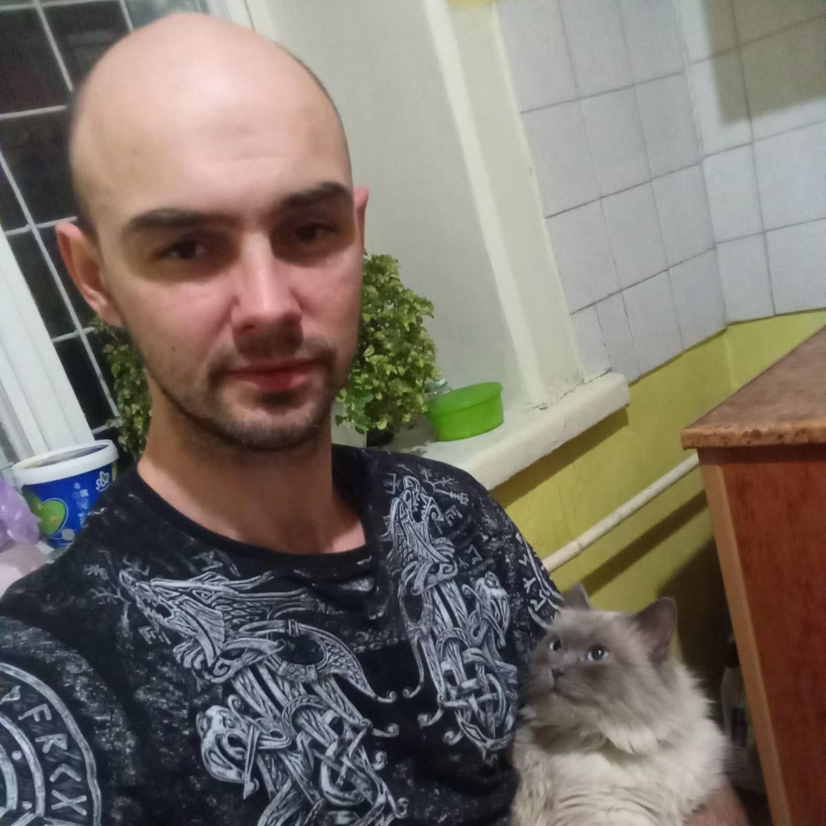 Владимир Илнов