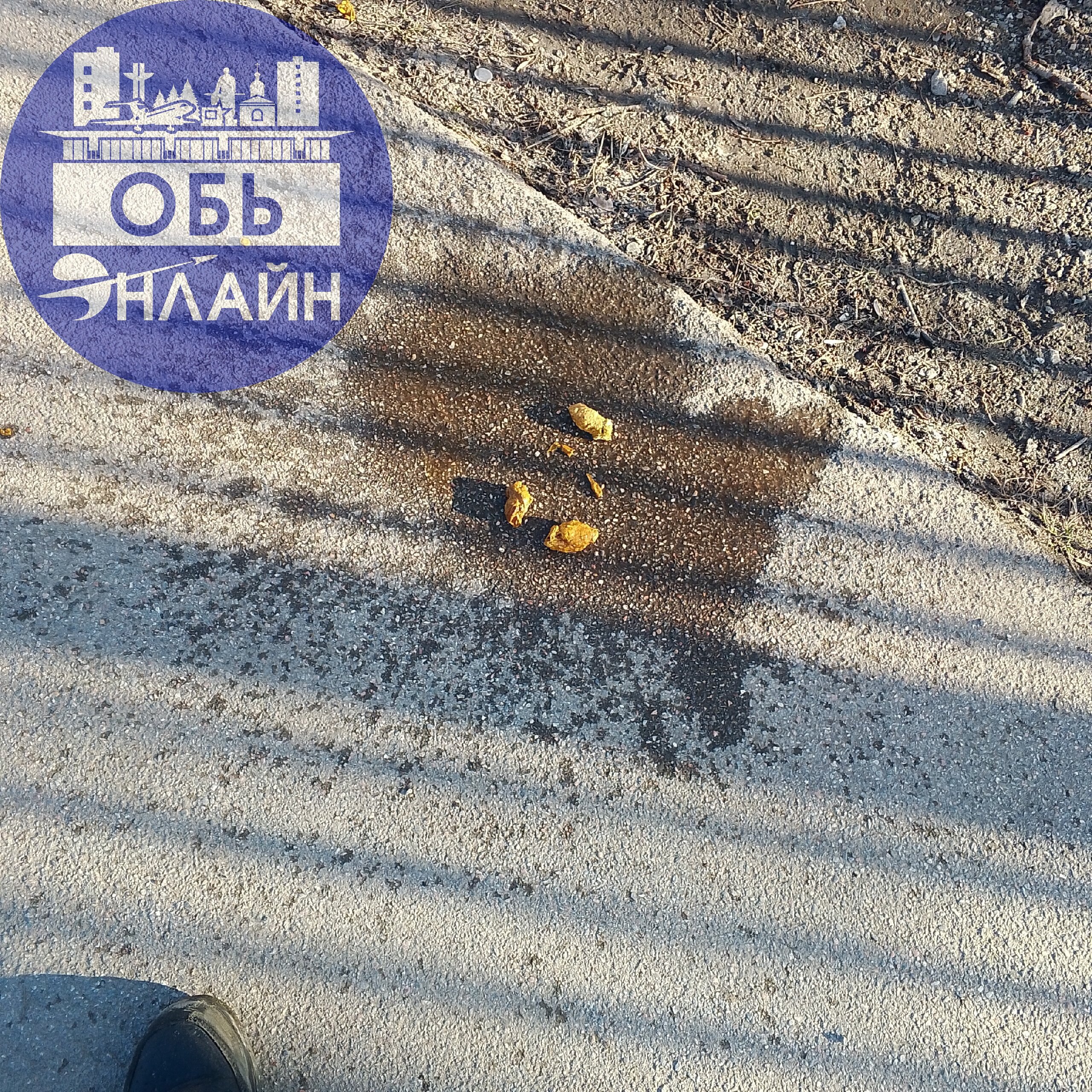 ↗ кто то наложил возле 26-ой школы, Анонимно
vk.com
Подробнее на https://vk.com/ob.gorod
#городобь #городобьонлайн #толмачево | Сетка — социальная сеть от hh.ru