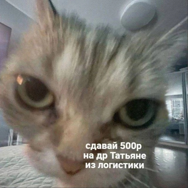 Только начал богатеть а тут | Сетка — социальная сеть от hh.ru