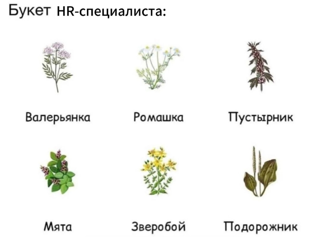 Букеты женщин: розы, пионы, тюльпаны | Сетка — социальная сеть от hh.ru