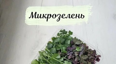 🌿В ЗОЖ-МИРЕ НОВЫЙ ТРЕНД! | Сетка — социальная сеть от hh.ru