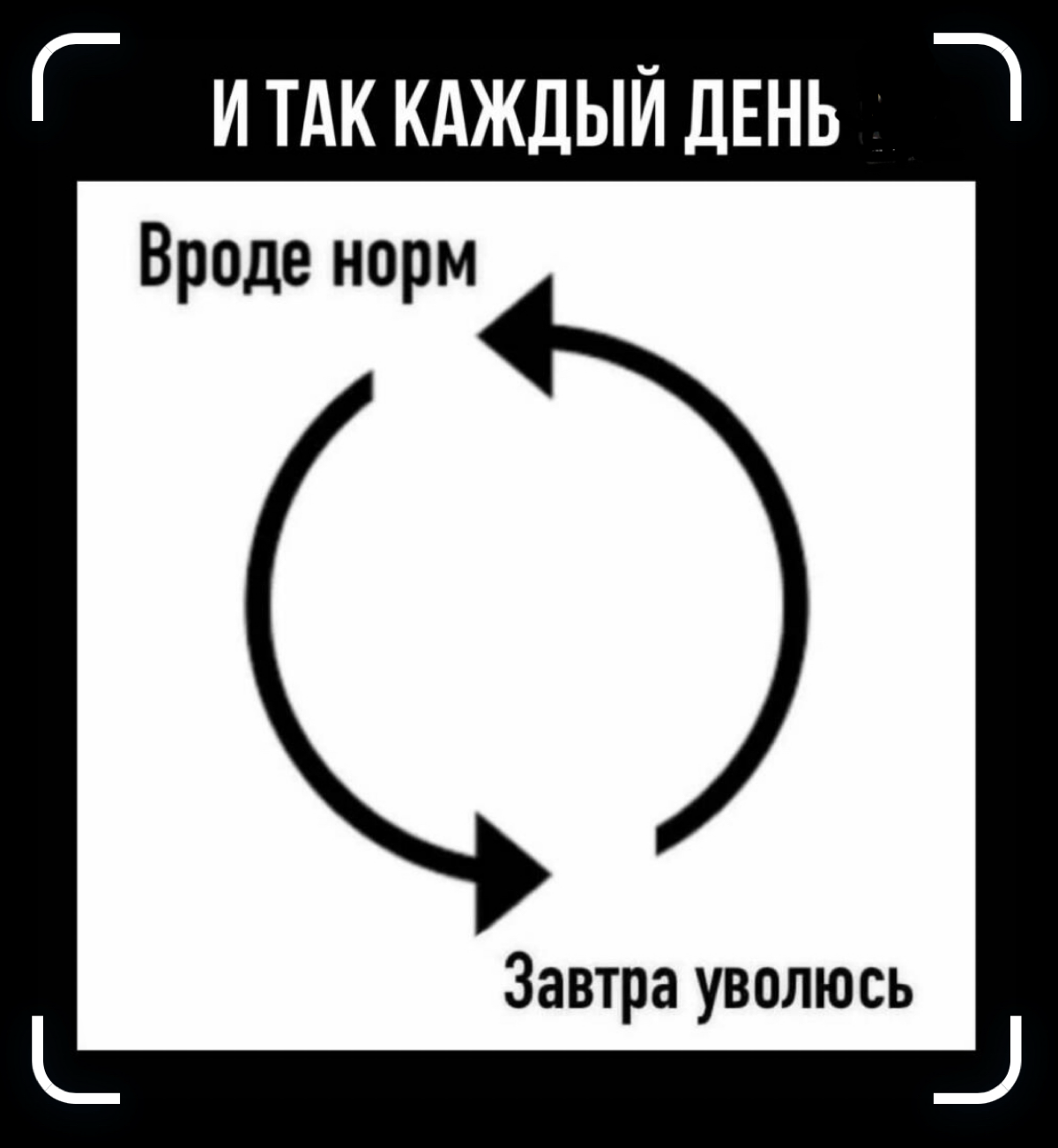 Круговорот IT в природе 😂😭 | Сетка — социальная сеть от hh.ru