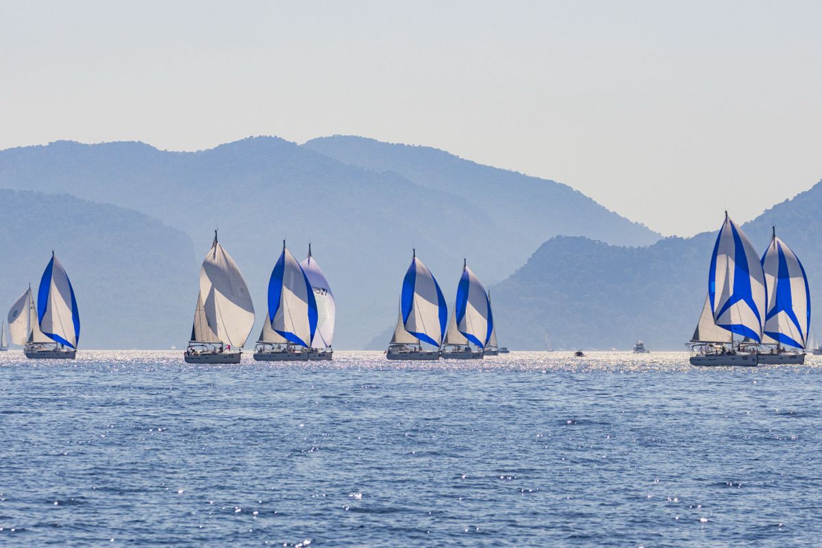 Море всегда вдохновляет на новые горизонты, и я открыта для новых проектов | Сетка — социальная сеть от hh.ru
