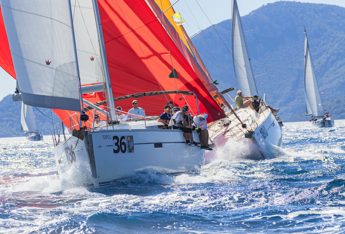 Море всегда вдохновляет на новые горизонты, и я открыта для новых проектов | Сетка — социальная сеть от hh.ru
