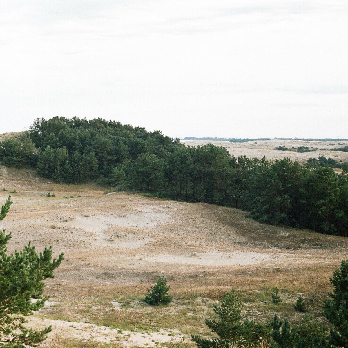 СОЮЗ🌿экология