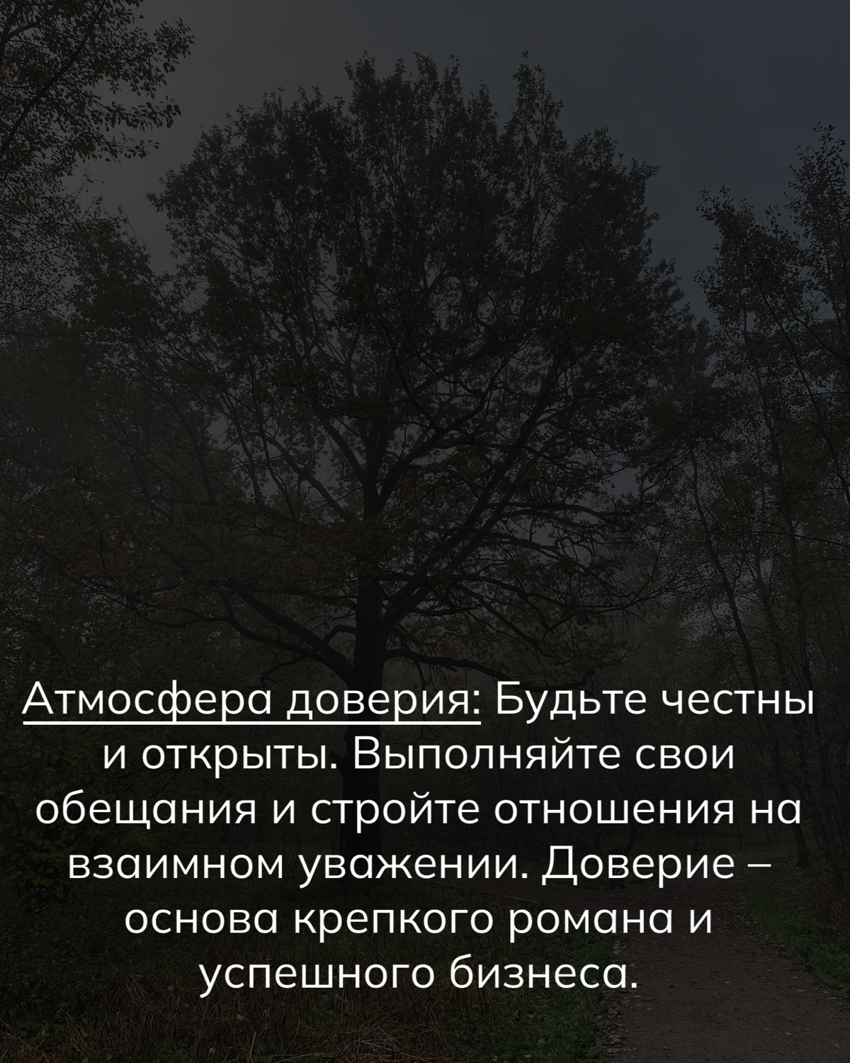 Завоёвывайте доверие и стройте долгосрочные отношения 💖 | Сетка — социальная сеть от hh.ru