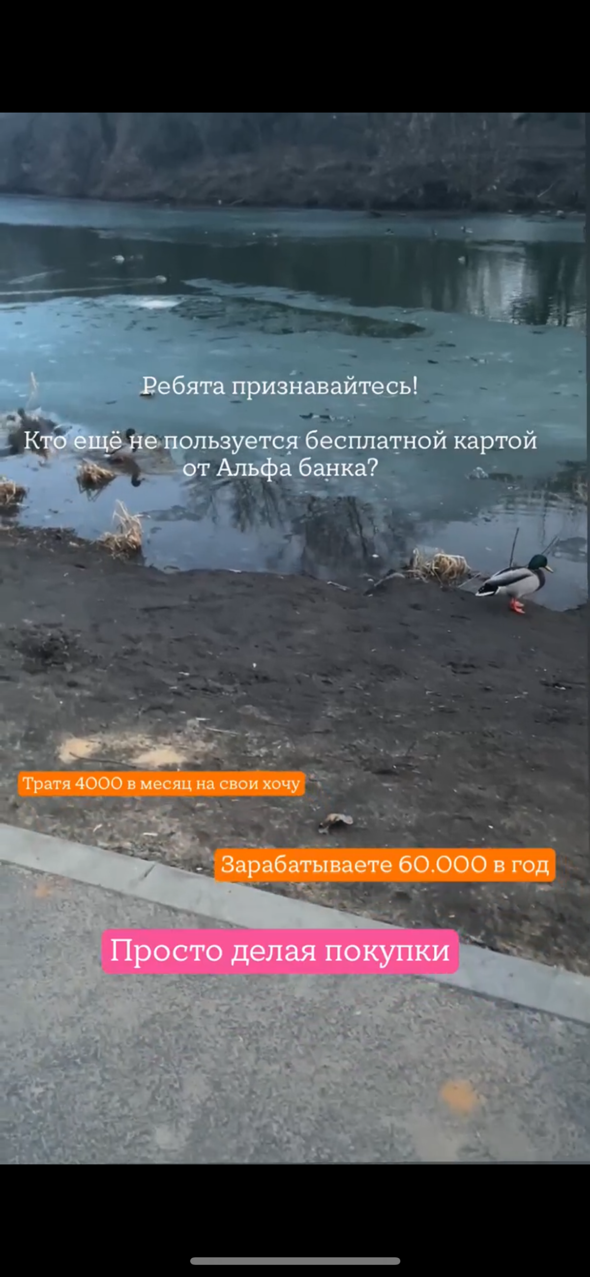 Заработать делая покупки? Это просто. 60.000 в год. | Сетка — социальная сеть от hh.ru