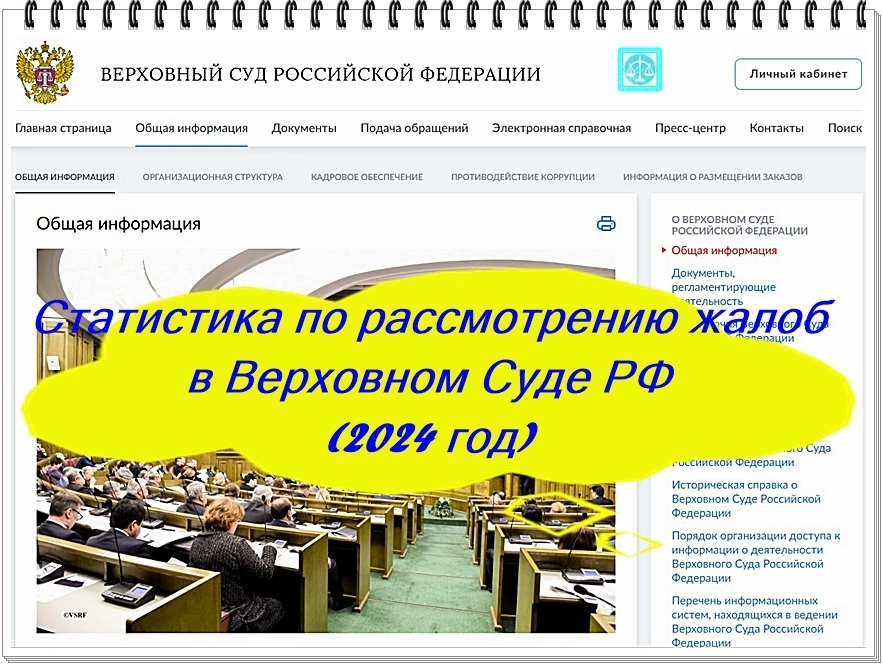 Статистика по жалобам Верховного Суда России | Сетка — социальная сеть от hh.ru