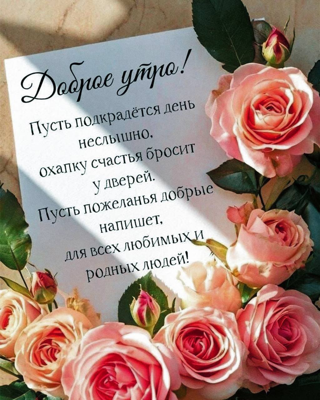 ☀️Доброе утро, ставропольцы! А вам тоже приходило такое письмо? | Сетка — социальная сеть от hh.ru