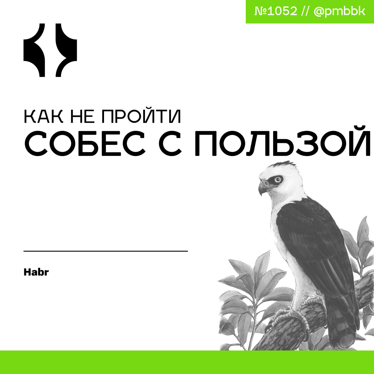 🪪 Как не пройти собес с пользойБыл ли у вас опыт неудачных собесов? По-моему, вопрос риторический | Сетка — социальная сеть от hh.ru