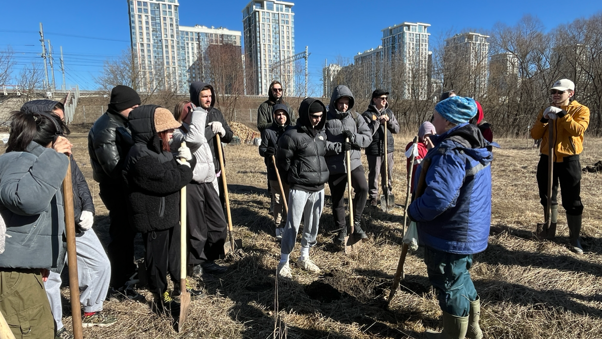 Высаживаем дубы: сила команды и природы 🌳🏦 | Сетка — социальная сеть от hh.ru