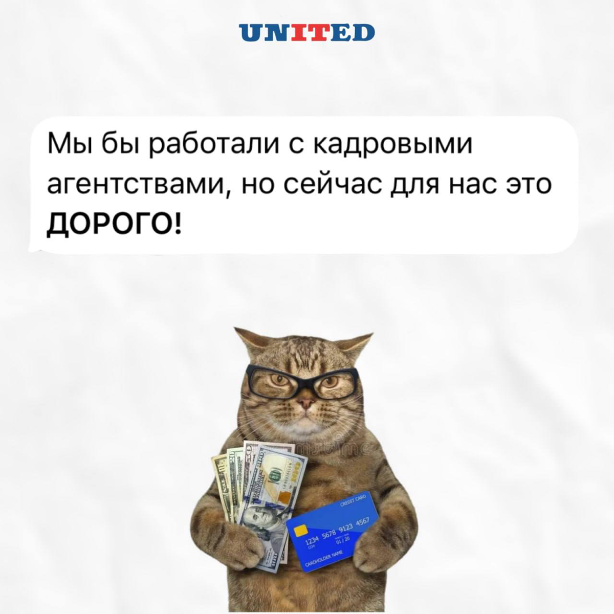 Новая услуга ✨ | Сетка — социальная сеть от hh.ru