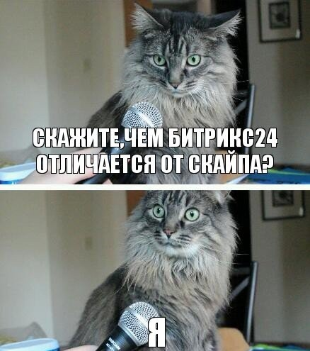 Как я адаптировалась на новом месте работы: личный опыт. | Сетка — социальная сеть от hh.ru