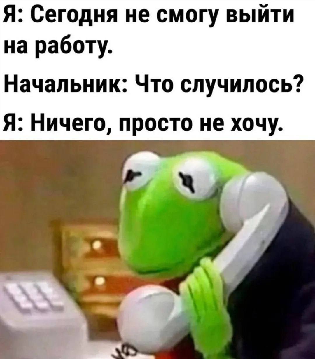 Всех с новым рабочим понедельником 🐝💖 | Сетка — социальная сеть от hh.ru