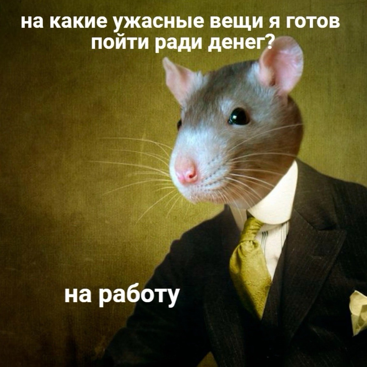 Руслан Кочариев