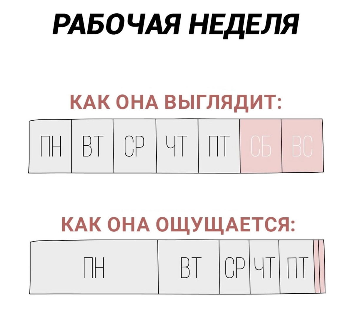 Сетка — социальная сеть от hh.ru